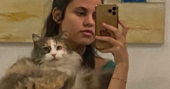 nefissa cat sitter à TOULOUSE 31000_0