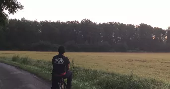 nassim pet sitter à LUNEL 34400