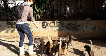 andréa pet sitter à SAUMUR 49400_17