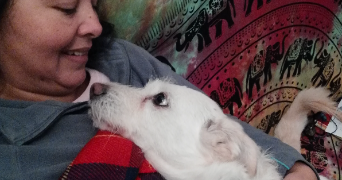 catalina pet sitter à ST JUNIEN 87200_1