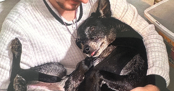 yohann pet sitter à TOUFFLERS 59390_3