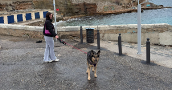 cheyenne pet sitter à MARSEILLE 10 13010_3