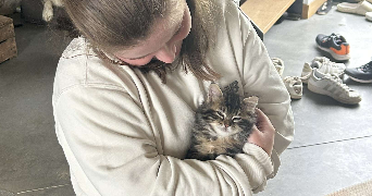 carla pet sitter à LE BIGNON 44140_7
