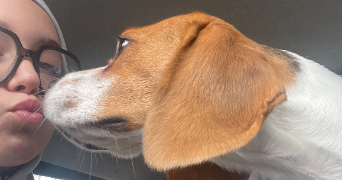 keyna pet sitter à TOULOUSE 31400_2
