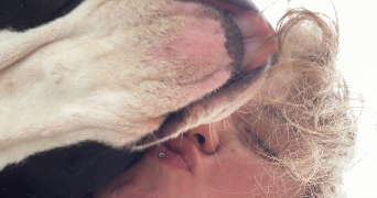 alyssa pet sitter à TOULOUSE 31000_3