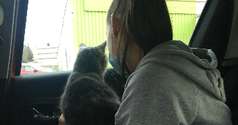 apolline pet sitter à DIJON 21000_2