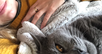 pauline pet sitter à CHAVENAY 78450_1