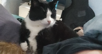 océane pet sitter à VILLEURBANNE 69100_1