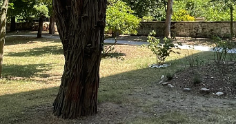 mélanie pet sitter à MANTES LA JOLIE 78200_3