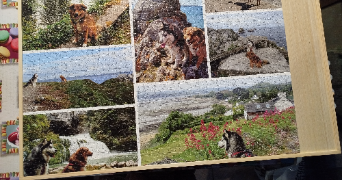 pascale pet sitter à SENONCHES 28250_2
