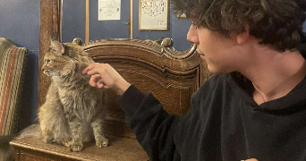 hadrien pet sitter à LE RAINCY 93340_2