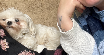 carla pet sitter à LE BIGNON 44140_3