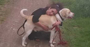 zoe pet sitter à ANGERS 49000_0