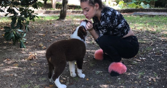 amélie  pet sitter à MAISONS ALFORT 94700_1