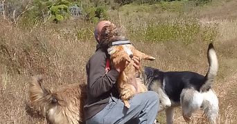 jimmy isabelle  dog sitter à MERXHEIM 68500_0