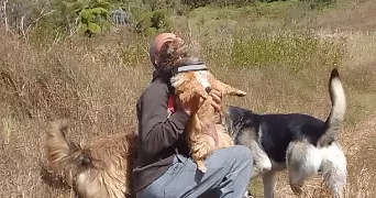 jimmy isabelle  dog sitter à MERXHEIM 68500