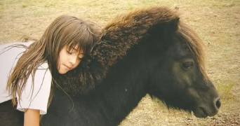 noémie pet sitter à LATTES 34970_1