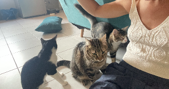 ilona pet sitter à Paris 75019_8