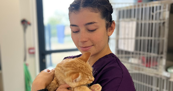 raphaelle pet sitter à Saint Cenere 53150_1