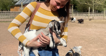 marion pet sitter à BRETIGNY SUR ORGE 91220_2
