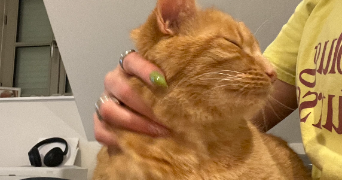 monia pet sitter à PARIS 15 75015_6