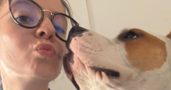 manon pet sitter à NANCY 54000_4