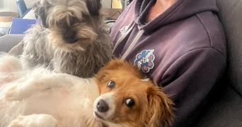 clémence pet sitter à TOULOUSE 31400_2