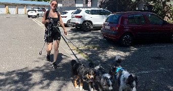 alicia pet sitter à ST MARTIN D HERES 38400_2