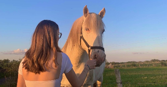 loula pet sitter à VICHY 03200_5