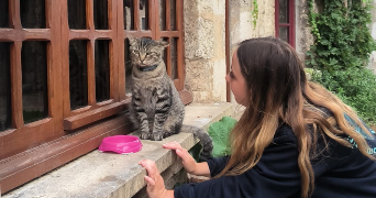 géromine pet sitter à CAEN 14000_1