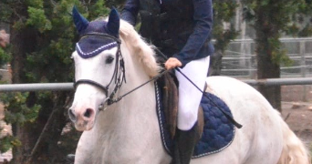 delattre pet sitter à MARSEILLE 08 13008_1