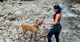 naïdie pet sitter à STRASBOURG 67000_3