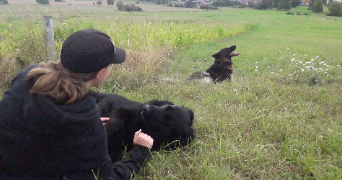 emilie pet sitter à CHAUMONT 52000_2