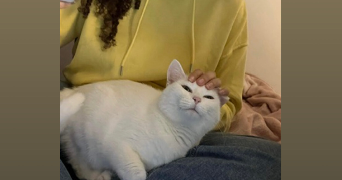 maissa pet sitter à GARDANNE 13120_1
