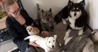ophely pet sitter à HAISNES 62138