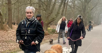 corine pet sitter à SOTTEVILLE LES ROUEN 76300_0