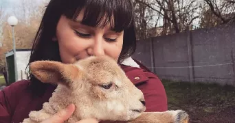 aline pet sitter à LIEVIN 62800