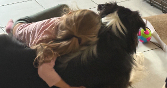 stephanie pet sitter à Saint jean d'Illac 33127_1