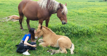 ana pet sitter à Courbevoie 92400_2