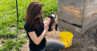 mathilde pet sitter à PESSAC 33600_3