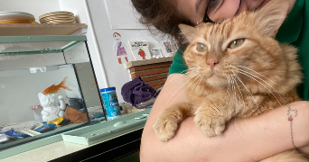 sandy pet sitter à ROSNY SOUS BOIS 93110_3