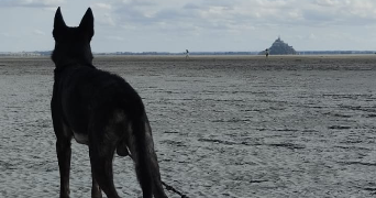 elisabeth pet sitter à Pau 64000_3