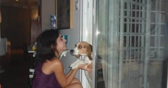 maya pet sitter à COURBEVOIE 92400_1