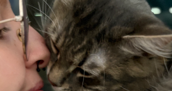 madigan pet sitter à ANNECY 74000_2