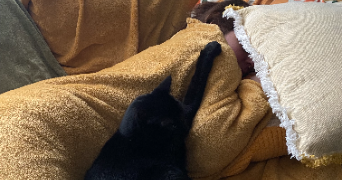 cyrielle pet sitter à BRON 69500_1