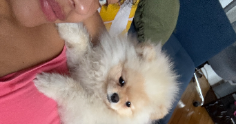 jeanne  pet sitter à ST MANDE 94160_1