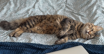 elodie pet sitter à NICE 06000_5