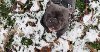 natacha pet sitter à BOURGES 18000_1