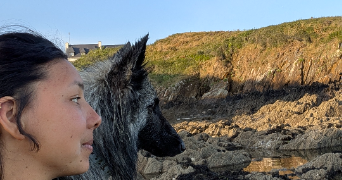 césaria pet sitter à DINARD 35800_5