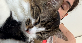 emilie pet sitter à GIF SUR YVETTE 91190_0